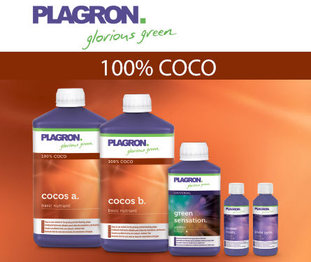 plagron_coco